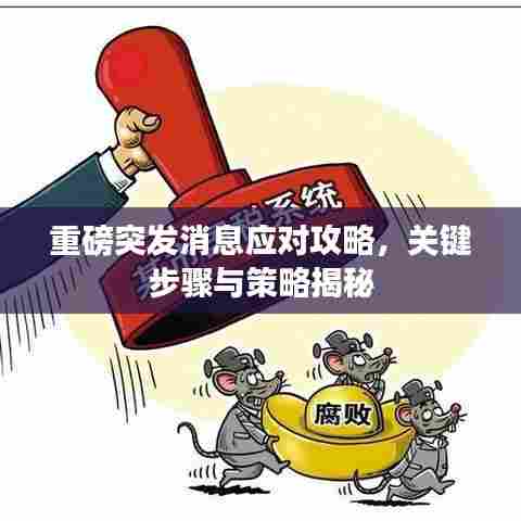 重磅突发消息应对攻略,关键步骤与策略揭秘