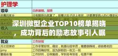 深圳微型企业TOP10榜单揭晓,成功背后的励志故事引人瞩目