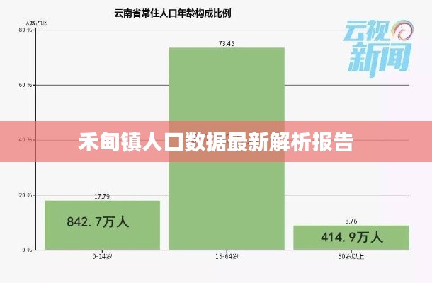 禾甸镇人口数据最新解析报告