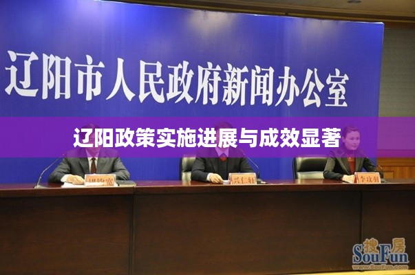 辽阳政策实施进展与成效显著