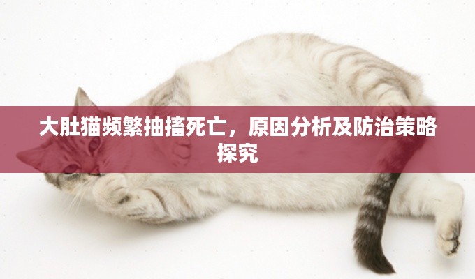 大肚猫频繁抽搐死亡,原因分析及防治策略探究