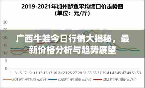 广西牛蛙今日行情大揭秘,最新价格分析与趋势展望