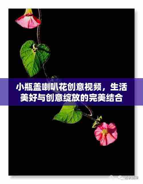 小瓶盖喇叭花创意视频，生活美好与创意绽放的完美结合