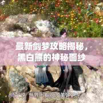 最新剑梦攻略揭秘,黑白熊的神秘面纱