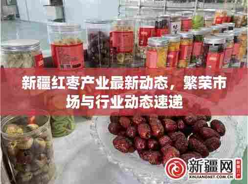 新疆红枣产业最新动态,繁荣市场与行业动态速递