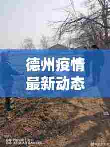 德州疫情最新动态速递,今日头条全面报道