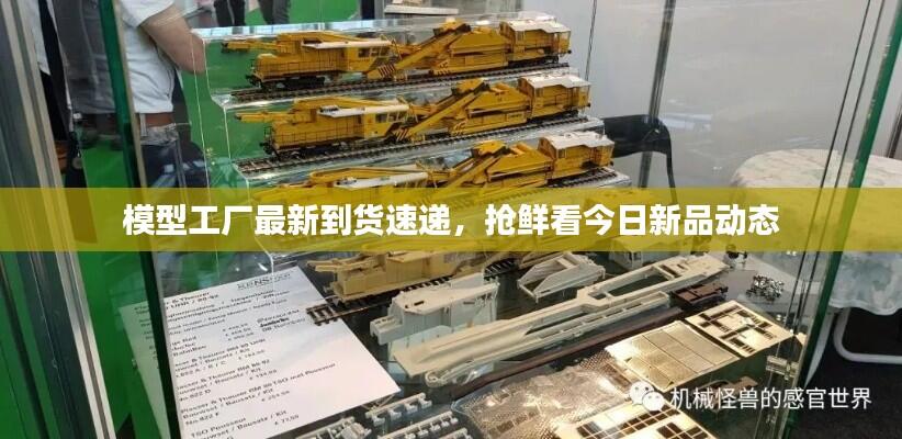 模型工厂最新到货速递,抢鲜看今日新品动态