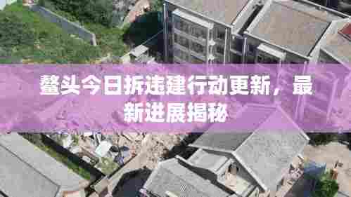 鳌头今日拆违建行动更新,最新进展揭秘