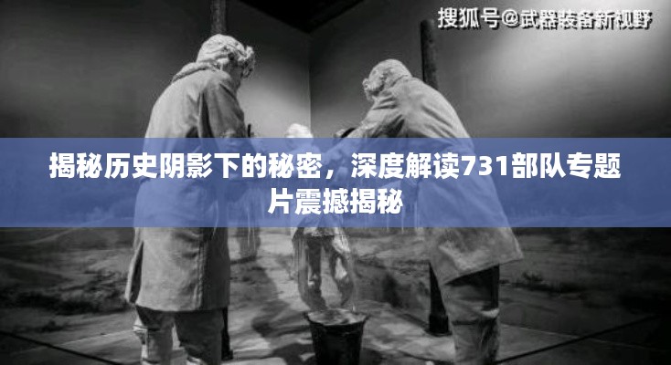 揭秘历史阴影下的秘密,深度解读731部队专题片震撼揭秘