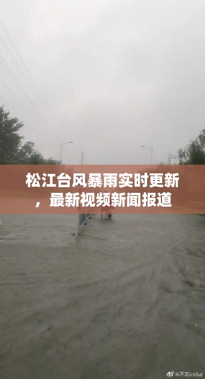 松江台风暴雨实时更新,最新视频新闻报道