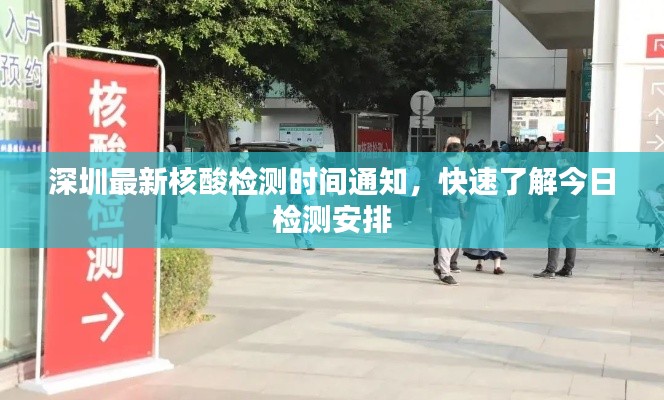 深圳最新核酸检测时间通知，快速了解今日检测安排