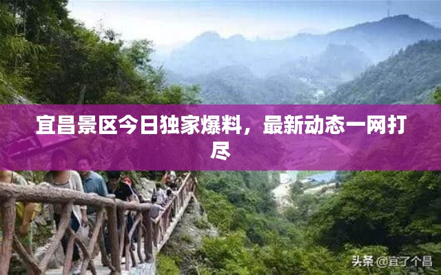 宜昌景区今日独家爆料,最新动态一网打尽