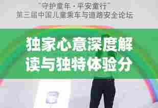 独家心意深度解读与独特体验分享