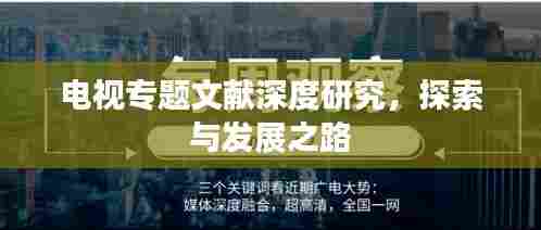 电视专题文献深度研究，探索与发展之路