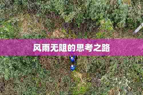 风雨无阻的思考之路