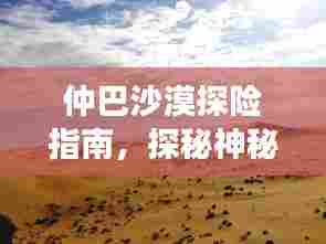仲巴沙漠探险指南,探秘神秘之旅,体验极致风光!