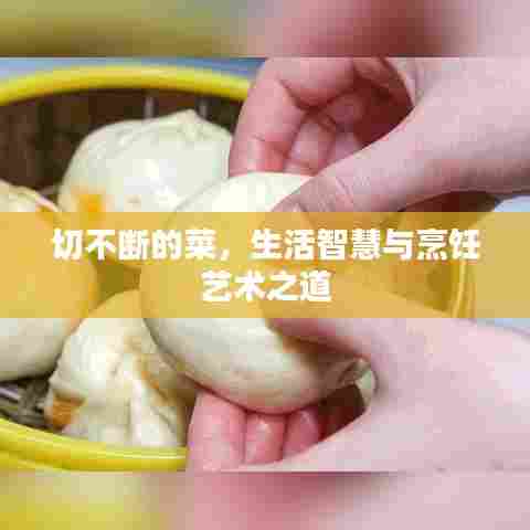 切不断的菜,生活智慧与烹饪艺术之道