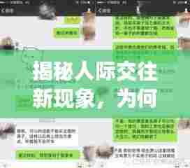 揭秘人际交往新现象,为何人们频繁找人聊天,背后的深层需求是什么?