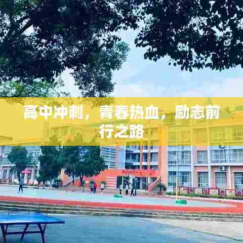 高中冲刺,青春热血,励志前行之路