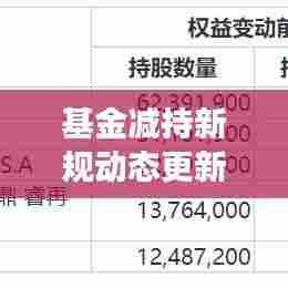 基金减持新规动态更新,重塑市场稳定,强化投资者权益保护