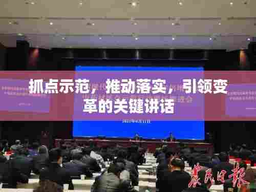 抓点示范,推动落实,引领变革的关键讲话
