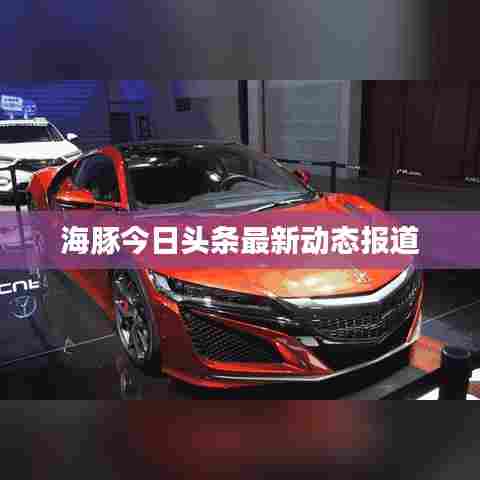 海豚今日头条最新动态报道