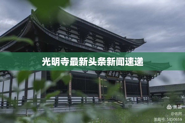 光明寺最新头条新闻速递