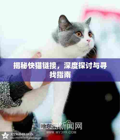 揭秘快猫链接，深度探讨与寻找指南