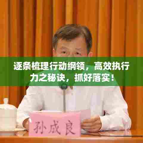 逐条梳理行动纲领,高效执行力之秘诀,抓好落实!