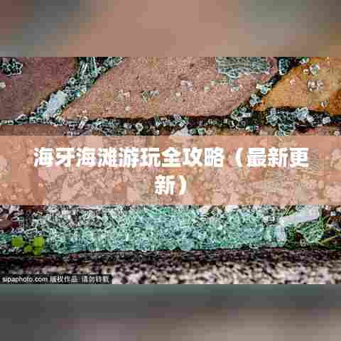 海牙海滩游玩全攻略(最新更新)