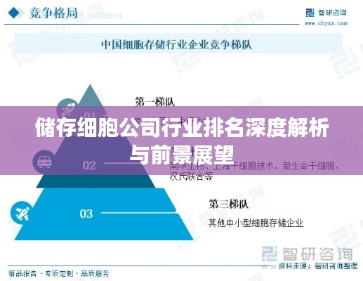 储存细胞公司行业排名深度解析与前景展望