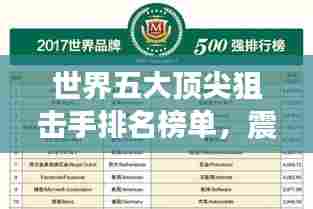 世界五大顶尖狙击手排名榜单,震撼揭秘!