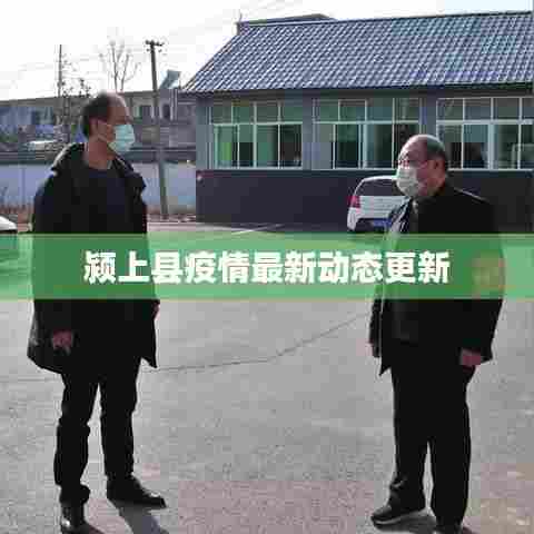 颍上县疫情最新动态更新