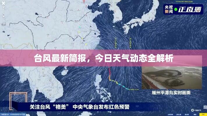 台风最新简报,今日天气动态全解析