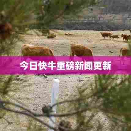 今日快牛重磅新闻更新