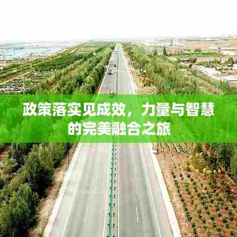 政策落实见成效,力量与智慧的完美融合之旅