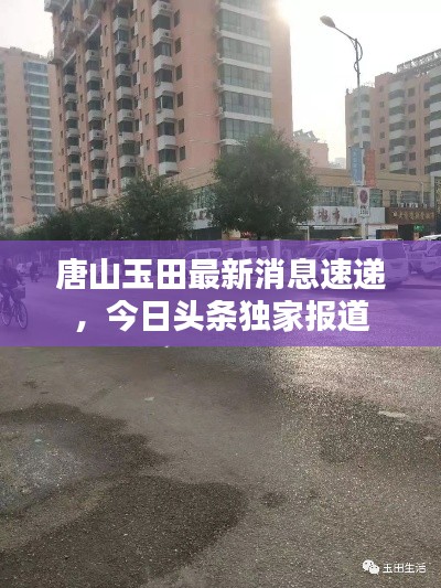 飞黄腾达 第6页