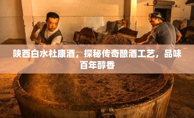 陕西白水杜康酒,探秘传奇酿酒工艺,品味百年醇香