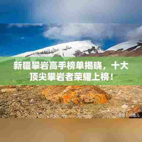 新疆攀岩高手榜单揭晓,十大顶尖攀岩者荣耀上榜!