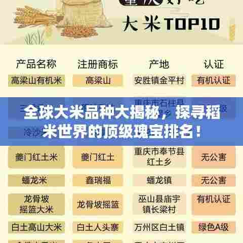 全球大米品种大揭秘,探寻稻米世界的顶级瑰宝排名!