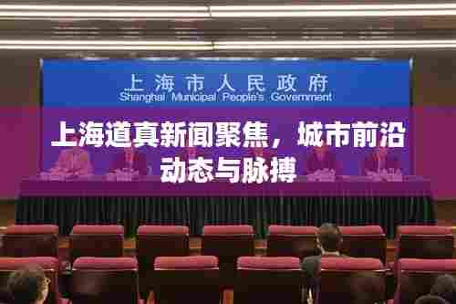 上海道真新闻聚焦,城市前沿动态与脉搏