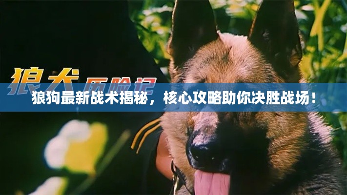狼狗最新战术揭秘,核心攻略助你决胜战场!