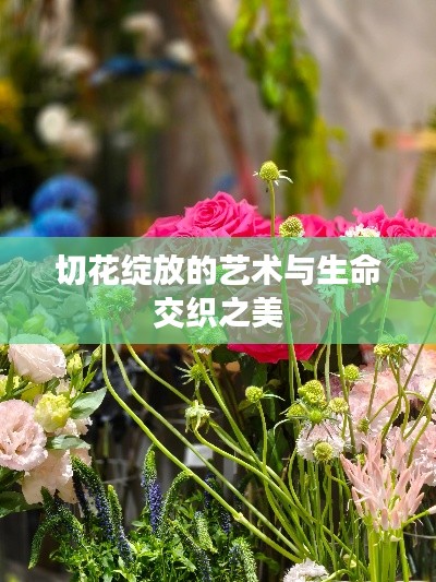 切花绽放的艺术与生命交织之美