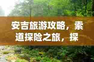 安吉旅游攻略，索道探险之旅，探秘美景尽收眼底！