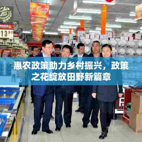 惠农政策助力乡村振兴，政策之花绽放田野新篇章