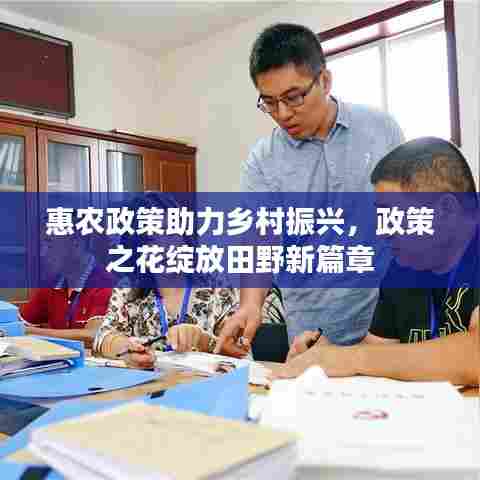 惠农政策助力乡村振兴,政策之花绽放田野新篇章
