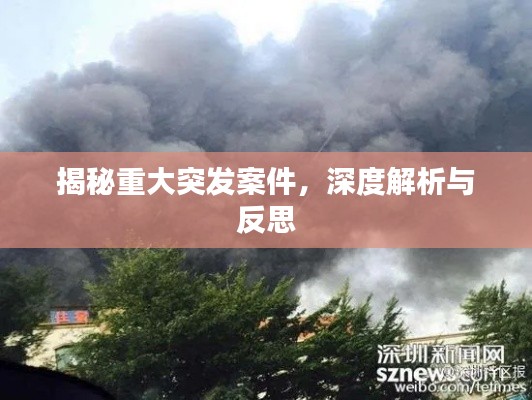 揭秘重大突发案件,深度解析与反思