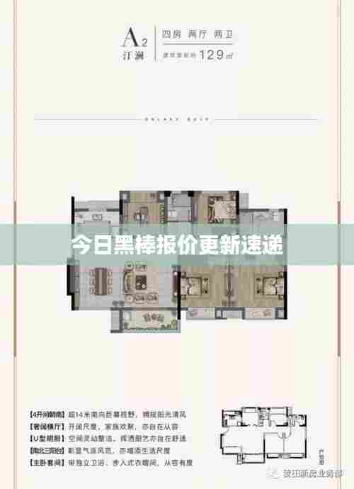 今日黑棒报价更新速递