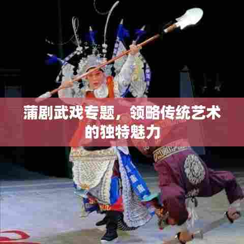 蒲剧武戏专题,领略传统艺术的独特魅力