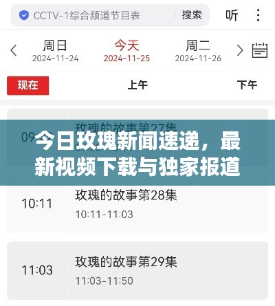 今日玫瑰新闻速递,最新视频下载与独家报道